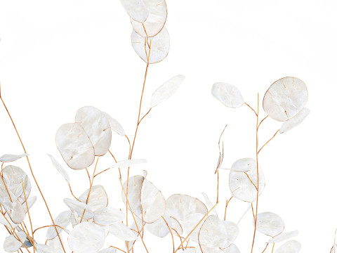 यथार्थवादी गुलदस्ता सफेद चांदनी शाखाएं ग्लास फूलदान सजावट 3D मॉडल