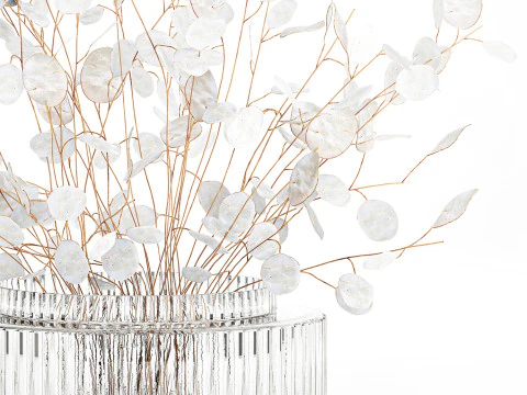 Bouquet r&eacute;aliste branches de fleur de lune blanche d&eacute;cor de vase en verre Modèle 3D