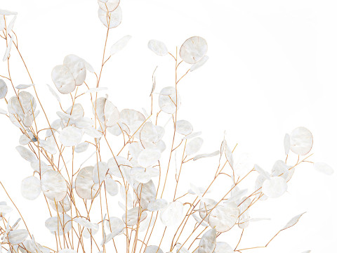 यथार्थवादी गुलदस्ता सफेद चांदनी शाखाएं ग्लास फूलदान सजावट 3D मॉडल