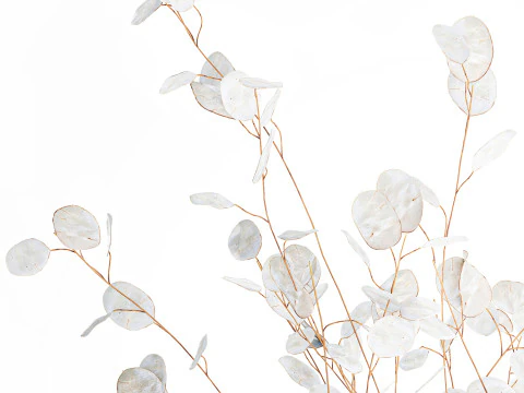 Bouquet r&eacute;aliste branches de fleur de lune blanche d&eacute;cor de vase en verre Modèle 3D