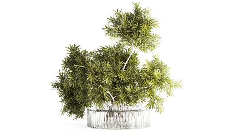 현실적인 꽃다발 장식 나뭇가지 잎 유리 꽃병 3D 모델 .c4d .max .obj .3ds .fbx .stl .blend