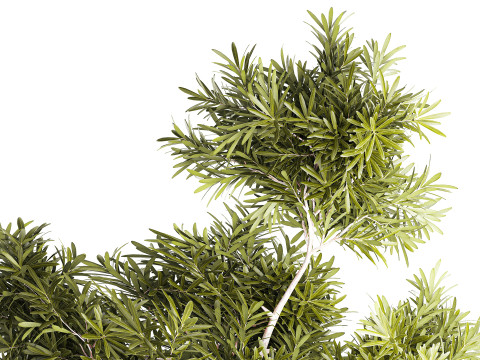 현실적인 꽃다발 장식 나뭇가지 잎 유리 꽃병 3D 모델