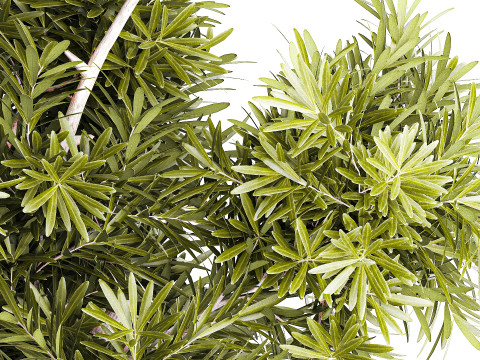 현실적인 꽃다발 장식 나뭇가지 잎 유리 꽃병 3D 모델