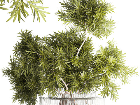 현실적인 꽃다발 장식 나뭇가지 잎 유리 꽃병 3D 모델