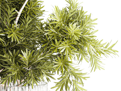 현실적인 꽃다발 장식 나뭇가지 잎 유리 꽃병 3D 모델