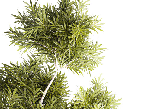 현실적인 꽃다발 장식 나뭇가지 잎 유리 꽃병 3D 모델