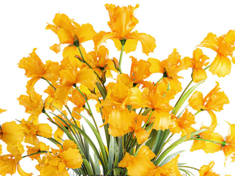 Lindo buqu&ecirc; realista de flores de &iacute;ris amarelas, vaso de vidro 658 Modelo 3D
