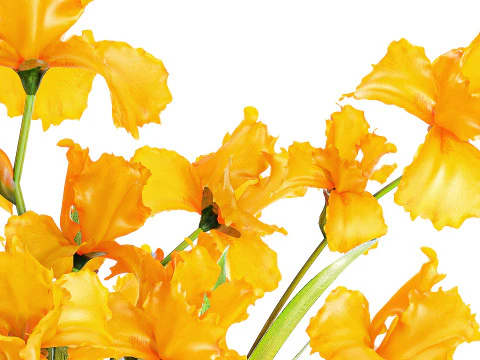 Lindo buqu&ecirc; realista de flores de &iacute;ris amarelas, vaso de vidro 658 Modelo 3D