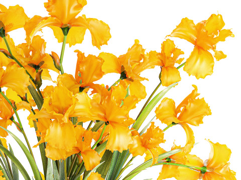 美しいリアルな花束黄色のアイリスの花ガラス花瓶 658 3Dモデル