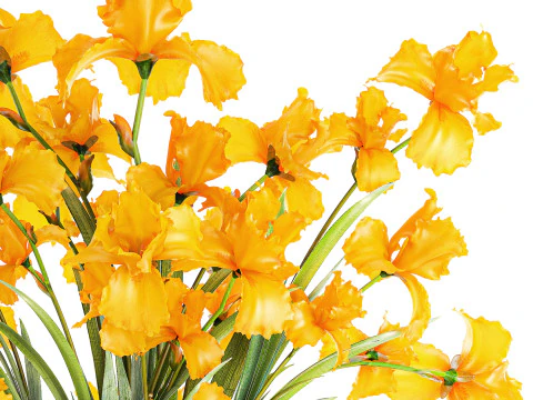 Lindo buqu&ecirc; realista de flores de &iacute;ris amarelas, vaso de vidro 658 Modelo 3D