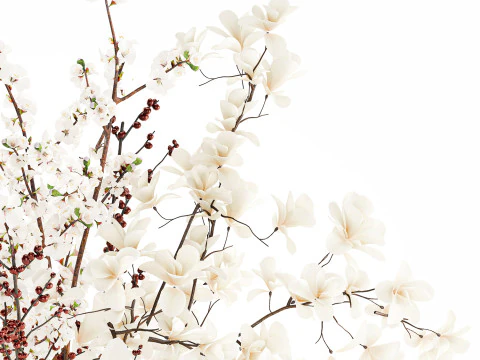 Bouquet white flowers magnolia Ilex holly cherry vase 659 3D Model