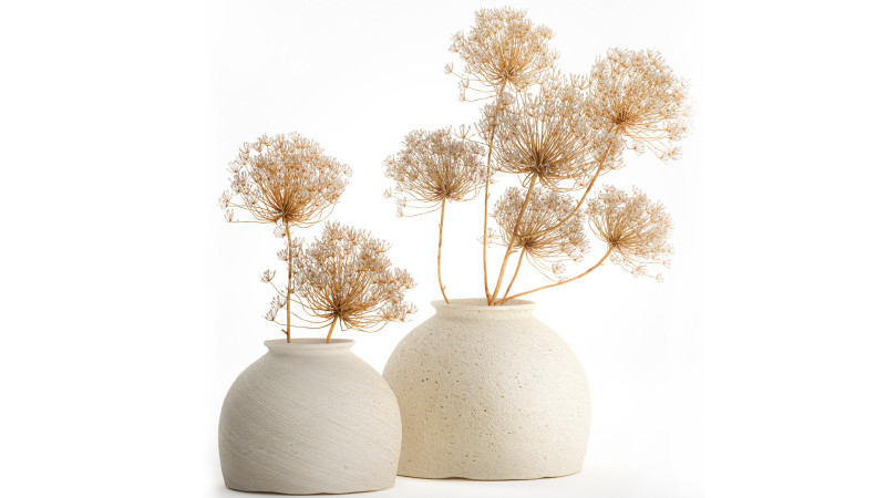 Realistic bouquet dried flowers Hogweed branches vase 659 3D Model .c4d .max .obj .3ds .fbx .stl .blend 