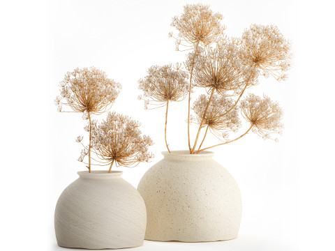 Realistic bouquet dried flowers Hogweed branches vase 659 3D Model