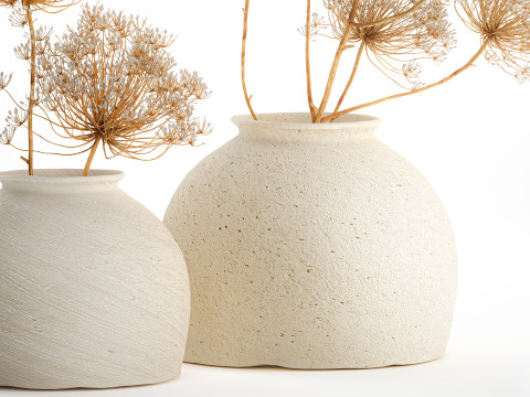 Realistic bouquet dried flowers Hogweed branches vase 659 3D Model