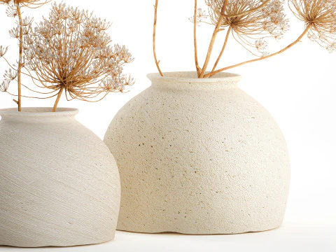 Bouquet realistico di fiori secchi vaso con rami di panace 659 Modello 3D