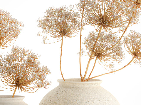 Realistic bouquet dried flowers Hogweed branches vase 659 3D Model