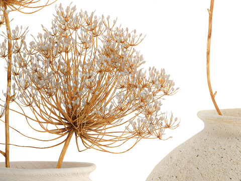 Realistic bouquet dried flowers Hogweed branches vase 659 3D Model