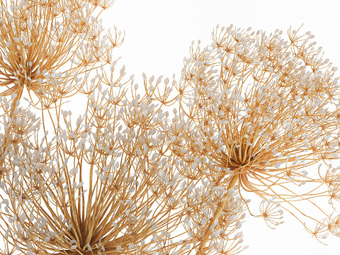Realistic bouquet dried flowers Hogweed branches vase 659 3D Model