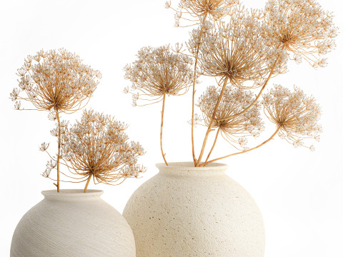 Realistic bouquet dried flowers Hogweed branches vase 659 3D Model