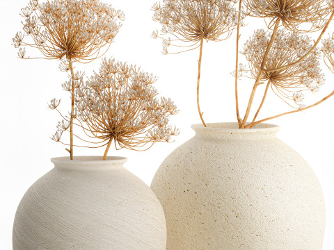 Realistic bouquet dried flowers Hogweed branches vase 659 3D Model