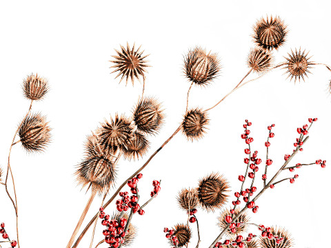 गुलदस्ता सूखे फूल होली शाखाएँ सूखे कांटे पत्थर फूलदान 3D मॉडल