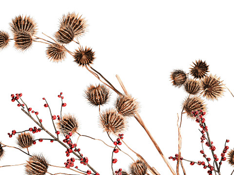 गुलदस्ता सूखे फूल होली शाखाएँ सूखे कांटे पत्थर फूलदान 3D मॉडल