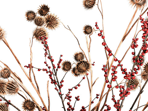 गुलदस्ता सूखे फूल होली शाखाएँ सूखे कांटे पत्थर फूलदान 3D मॉडल