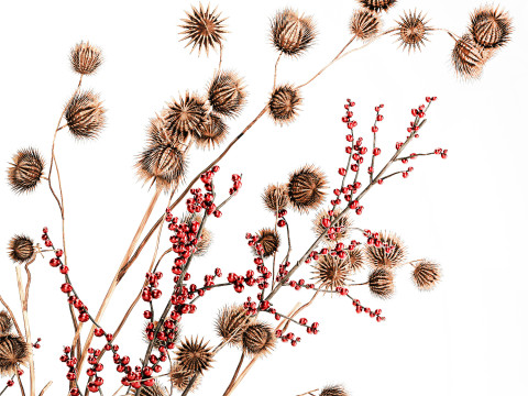 गुलदस्ता सूखे फूल होली शाखाएँ सूखे कांटे पत्थर फूलदान 3D मॉडल