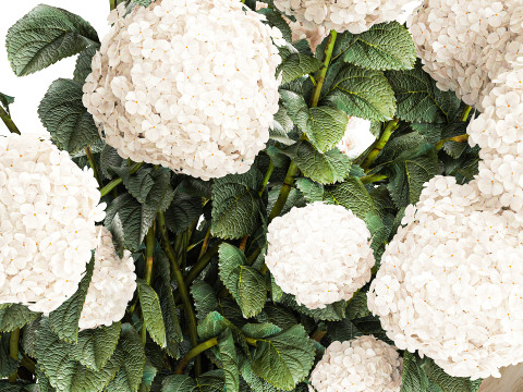 花束枝石花瓶白アジサイ装飾 662 3Dモデル