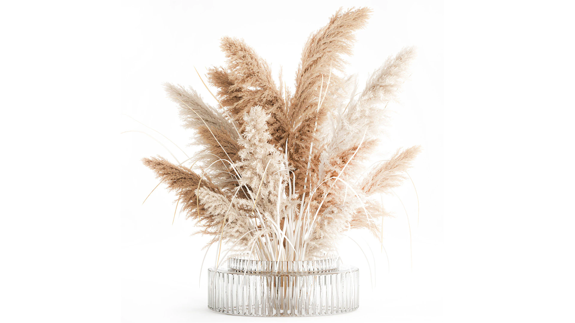 Dried flower bouquet branches cortaderia pampas vase glass 3D Model .c4d .max .obj .3ds .fbx .stl .blend 