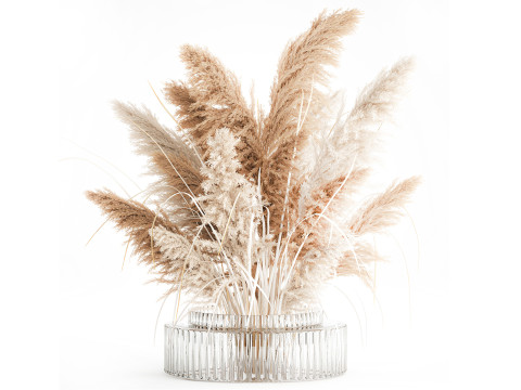 Gałązki bukietu suszonych kwiatów cortaderia pampas szklany wazon Model 3D