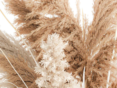 Dried flower bouquet branches cortaderia pampas vase glass 3D Model