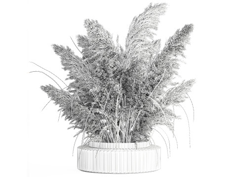 Cabang buket bunga kering cortaderia pampas vas kaca Model 3D