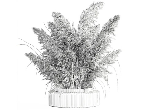 Dried flower bouquet branches cortaderia pampas vase glass 3D Model