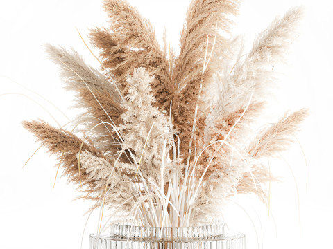 Cabang buket bunga kering cortaderia pampas vas kaca Model 3D