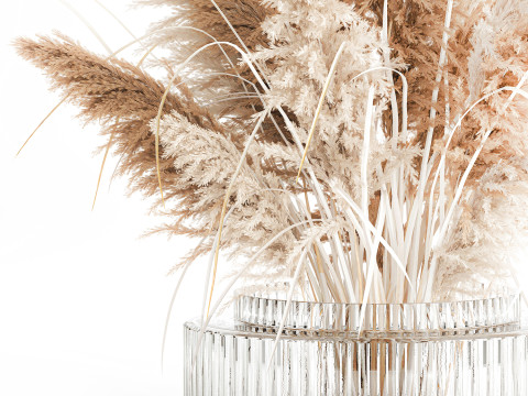Cabang buket bunga kering cortaderia pampas vas kaca Model 3D