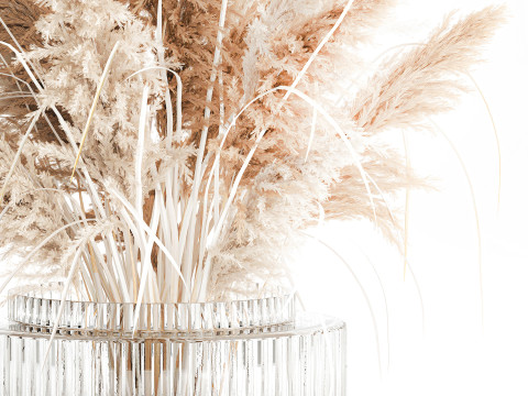 Cabang buket bunga kering cortaderia pampas vas kaca Model 3D