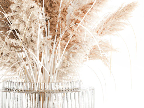 Dried flower bouquet branches cortaderia pampas vase glass 3D Model