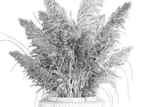 Cabang buket bunga kering cortaderia pampas vas kaca Model 3D