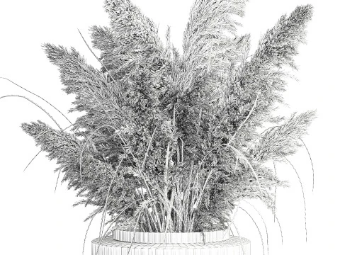 Dried flower bouquet branches cortaderia pampas vase glass 3D Model