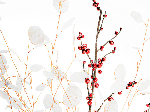 Bouquet dried flowers holly lunaria branches vase decor 666 3D Model