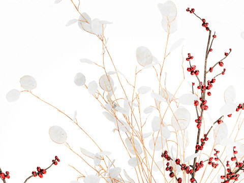 Bouquet dried flowers holly lunaria branches vase decor 666 3D Model