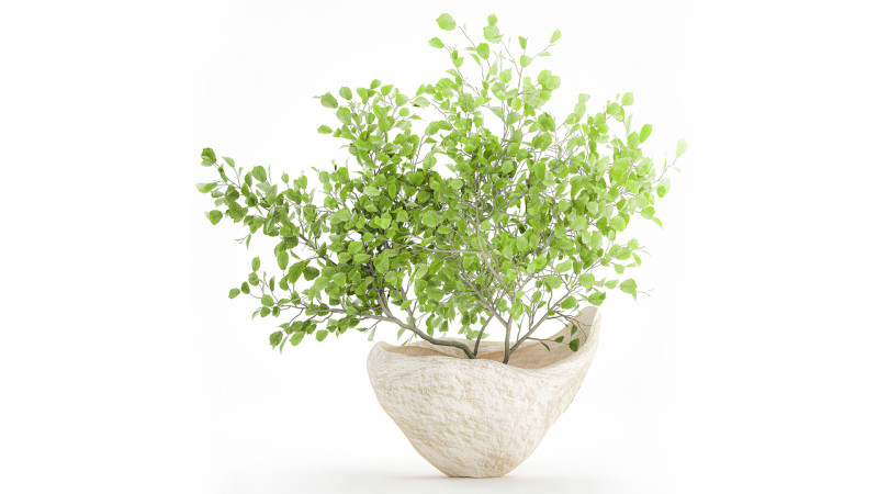 Realistic green floral bouquet branches leaves decor vase 667 3D Model .c4d .max .obj .3ds .fbx .stl .blend 