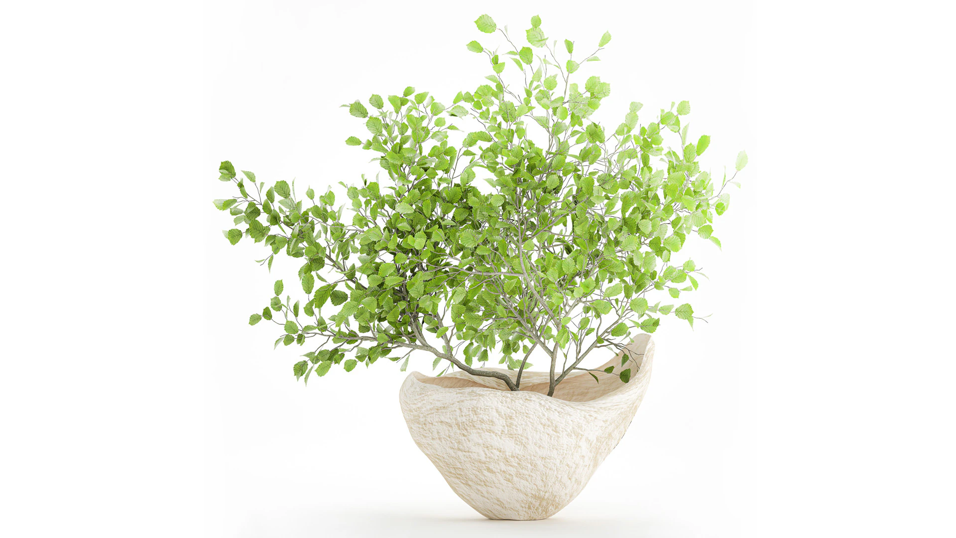 Realistic green floral bouquet branches leaves decor vase 667 3D Model .c4d .max .obj .3ds .fbx .stl .blend 