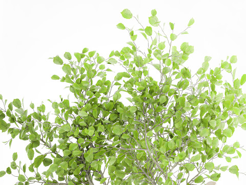 Realistic green floral bouquet branches leaves decor vase 667 3D Model