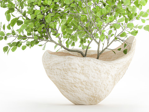 Realistic green floral bouquet branches leaves decor vase 667 3D Model