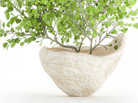 Realistic green floral bouquet branches leaves decor vase 667 3D Model