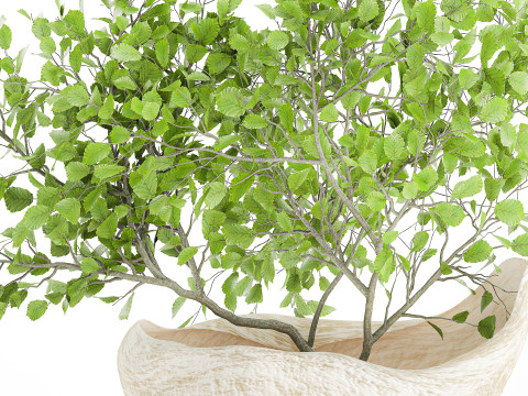 Realistic green floral bouquet branches leaves decor vase 667 3D Model