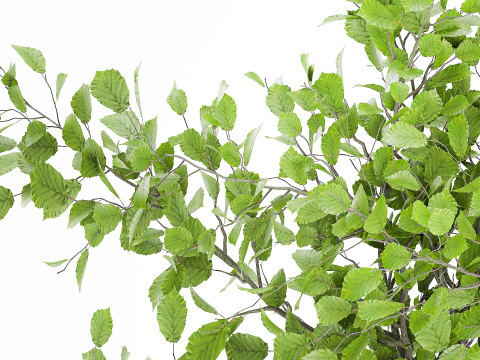 Realistic green floral bouquet branches leaves decor vase 667 3D Model