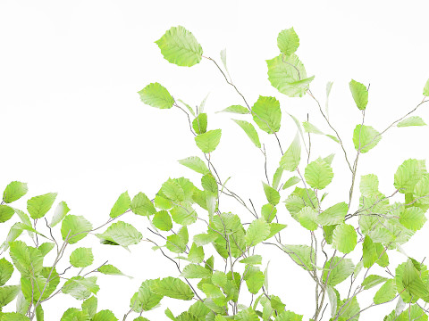 Realistic green floral bouquet branches leaves decor vase 667 3D Model